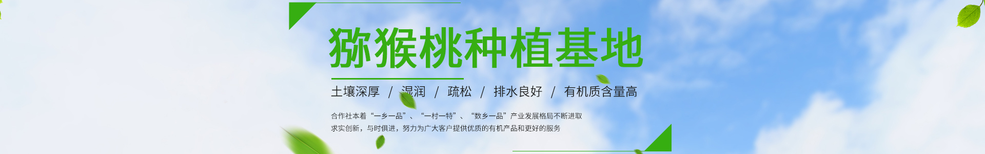 杏彩体育官网(XingCai)最新IOS/安卓版/手机版APP